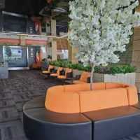 lounge-ardebil